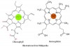 Organic synthesis