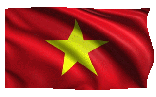 vietnamese flag waving gif animation 7